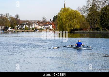 Marlow, Großbritannien - 30 2021. März: Ein Ruderer, der entlang der Themse durch Marlow schlendert, auf dem Thames Path gesehen Stockfoto