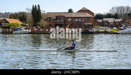 Marlow, Großbritannien - 30 2021. März: Ein Ruderer, der entlang der Themse durch Marlow schlendert, auf dem Thames Path gesehen Stockfoto