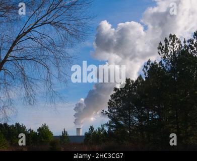 Verschmutzung, dichter Rauch, der aus einem Schornstein hinter der Baumgrenze austicht. Stockfoto