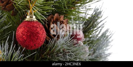 Weihnachtsbaum. Grüne Kiefernzweige mit einer roten Kugel verziert. Nicht fokussierte Zapfen und rote Beeren im Hintergrund. Nahaufnahme. Isoliert auf weißem Bac Stockfoto