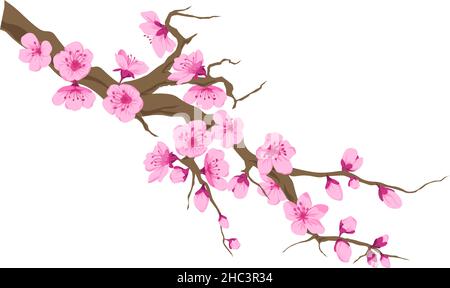 Kirschblütenbaum Zweig mit blühenden Blumen Stock Vektor