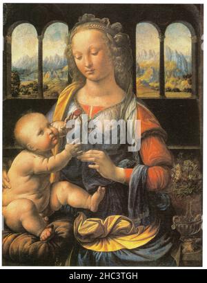 LEONARDO DA VINCI. MADONNA MIT DER NELKE. 1475. ÖL AUF HOLZ. 62 X 47,5 CM Stockfoto