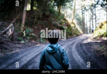 Rückansicht eines Touristen im Wald Stockfoto
