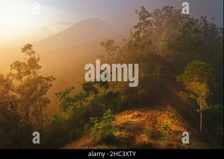 Farbenfrohe und neblige Sonnenaufgänge, über dem Berg und dem Vulkan Agung, mit spektakulären orangen Lichtstrahlen, die den grünen, üppigen tropischen Wald von Bali erhellen. Stockfoto