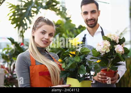 Nette Floristen Arbeiter halten Blumen in Töpfen, professionelle Berater bereit, mit der Wahl zu helfen Stockfoto