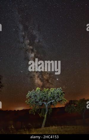 Vertikale Aufnahme der Milchstraße am Nachthimmel, aufgenommen in Portugal Stockfoto