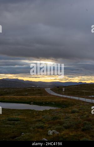 Vertikale Aufnahme der Straße und des kleinen Teiches auf dem Feld Stockfoto