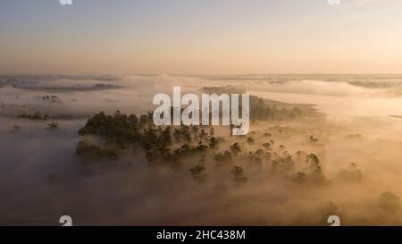 Neblige Luftaufnahme und stimmungsvolle Bäume am Morgen Stockfoto