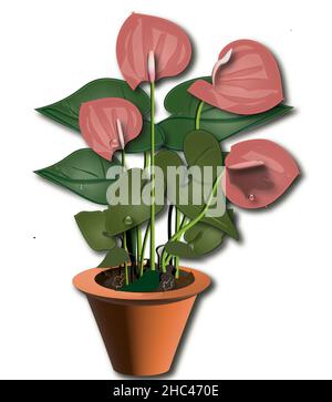 3D Rosa Anthurium-Zimmerpflanze Stockfoto