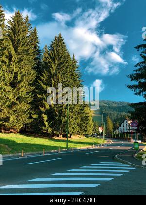 Vertikale Aufnahme einer von grünen Bäumen umgebenen Straße in Poiana Brasov, Rumänien Stockfoto