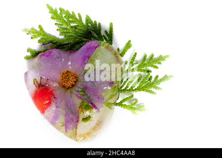 Der Sommer blüht in Form eines Eisherzen. Gefrorene Blumen und Pflanzen. Stockfoto