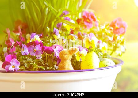 Nahaufnahme einer fröhlichen Osterdekoration mit einem kleinen Hasen, bunten Eiern und sehr bunten Stiefmütterchen in voller Blüte. Stockfoto