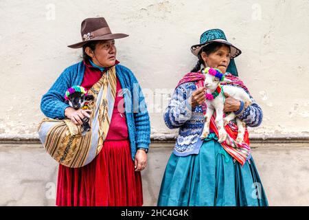 Peruanische Frauen in traditioneller Kleidung mit Baby-Alpakas in Cusco, Heiliges Tal, Peru Stockfoto