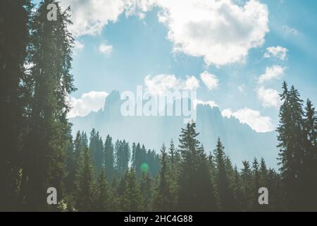 latemar Berggipfel verdeckt von Wolken aus dem Wald an einem sonnigen Tag in den dolomiten Stockfoto