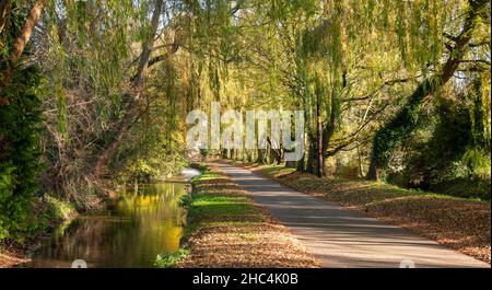 Eine kleine Gasse namens Bow Wow, die zwischen einem Mühlbach und dem River Churn im Cotswold-Dorf South Cerney in Gloucestershire, England, Uni, verläuft Stockfoto