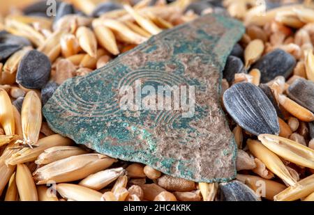 Bronzezeitpinzette mit Metalldetektor gefunden, Finder im Hintergrund Stockfoto