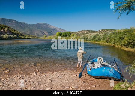 Mann angeln, Green River auf Indian Crossing Bootrampe und Campingplatz, Uinta Mountains, Browns Park, Utah, USA Stockfoto