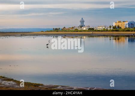 Blick auf den Strand von La Gaviota bei Ebbe mit dem Leuchtturm, wo einige Störche die Gelegenheit nutzen, um nach Meeresfrüchten zu fischen. Cristina Island, Andalusien Stockfoto