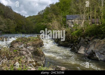 Cenarth Falls grenzt an Carrmarthenshire und Pembrokeshire, direkt an der Grenze zu Ceredigion in West Wales am Fluss Teifi Stockfoto