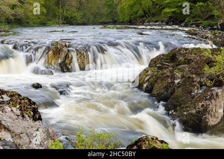 Cenarth Falls grenzt an Carrmarthenshire und Pembrokeshire, direkt an der Grenze zu Ceredigion in West Wales am Fluss Teifi Stockfoto