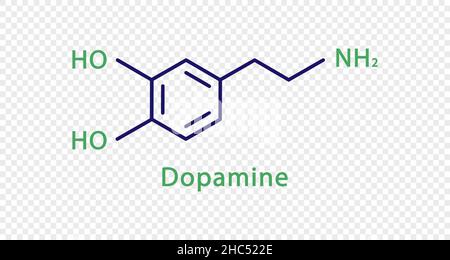 Dopamin chemische Formel. Dopamin strukturelle chemische Formel isoliert auf transparentem Hintergrund. Stock Vektor