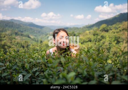 Porträt einer jungen asiatischen Frau, die einen Korb trägt und sich in der Teeplantage auf dem Hochland genießt Stockfoto