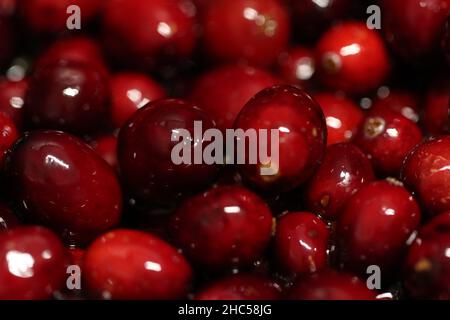 Nahaufnahme des Haufens von Cornus Mas, Cornelian Cherry, European Cornel oder Cornelian Cherry Dogwood. Stockfoto