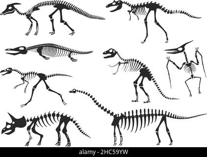 Dinosaurier Skelett Silhouette, Diplodocus, Velociraptor, Pterodactyl Knochen. Prähistorische Dinosaurier Fossilien, alte Tierskelette Vektor-Set. Kreaturen für Museumsausstellung isoliert auf Weiß Stock Vektor