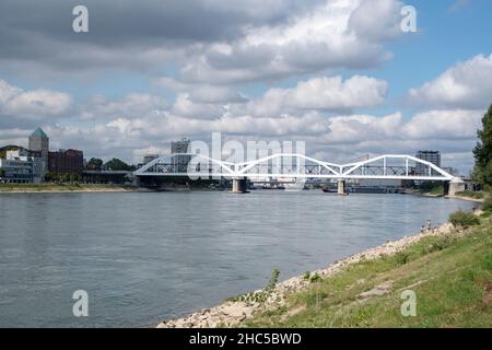 Rheinlandschaft und Brücke in Mannheim Stockfoto