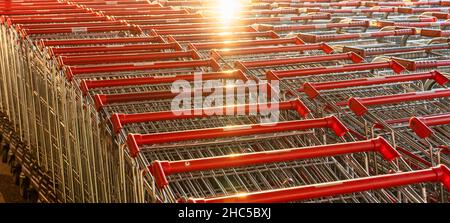 Reihen mit vielen Einkaufswagen in einem großen Supermarkt Stockfoto