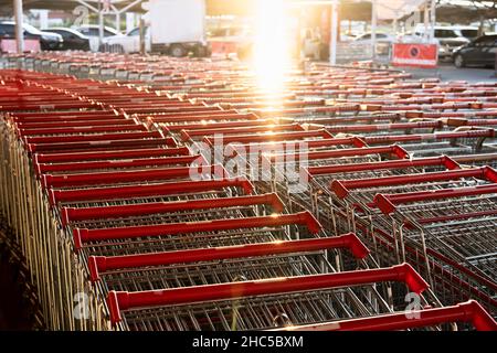 Reihen mit vielen Einkaufswagen in einem großen Supermarkt Stockfoto