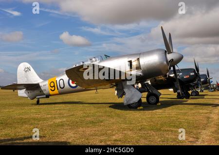 Hawker Sea Fury T.20 Kampfflugzeug aus dem Zweiten Weltkrieg WG655, mit alten Flugzeugen auf der Fluglinie bei Flying Legends Airshow. Zwei Kämpfer aus dem Zweiten Weltkrieg Stockfoto