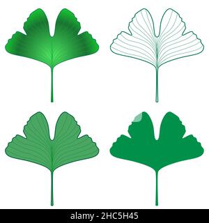 Ginkgo biloba frisches grünes Blatt Illustration Set Stock Vektor
