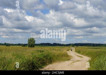 Ackerland. Eine lange Straße in einem Ackerfeld. Eine schöne Feldstraße Stockfoto