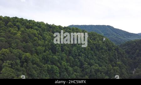 Luftaufnahme eines großen Berges, der von grünen, üppigen Bäumen bedeckt ist. Natürliche Landschaft mit schönen bewaldeten Hügeln, Sommer Laubwald auf bewölktem Himmel zurück Stockfoto