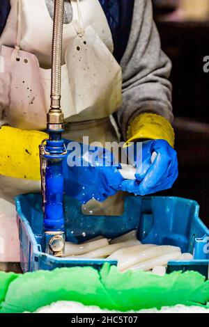 Frau putzt Tintenfisch mit Druckschlauch mit verschwommenem Hintergrund Stockfoto