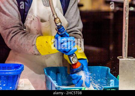 Frau putzt Tintenfisch mit Druckschlauch mit verschwommenem Hintergrund Stockfoto