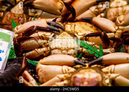 Nahaufnahme von essbaren Krabben (Cancer Pagurus) auf dem Fischmarkt in Barcelona, Spanien Stockfoto