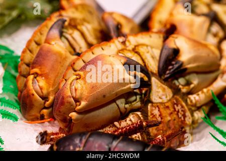Nahaufnahme von essbaren Krabben (Cancer Pagurus) auf dem Fischmarkt in Barcelona, Spanien Stockfoto