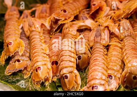 Nahaufnahme der frischen Galeere auf Eis (Squilla Mantis) im Seafood Store Stockfoto