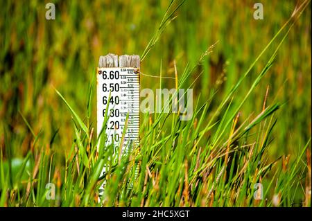 Nahaufnahme des Thermometers im Gras Stockfoto