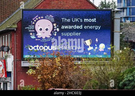 London, Großbritannien. 15th Dez 2021. Eine digitale Werbung von Octopus. Kredit: SOPA Images Limited/Alamy Live Nachrichten Stockfoto