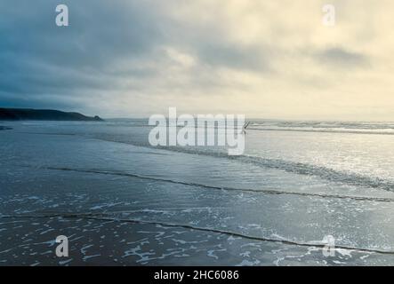 An einem hellen, aber bewölkten Tag kommt ein einschläfiger Surfer in Newgale Sands in Pembrokeshire ins Meer. Stockfoto