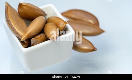 Madhuca longifolia Samen, Iluppai-Tam, südindische Mahua Samen, ayurvedische Anwendung von Rheuma, Hautkrankheiten, Fraktur, Schlangenbiss Stockfoto