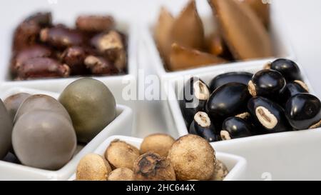 Gray Nicker (Caesalpinia bonduc), Strychnos potatorum, Samtbohne oder Mucuna pruriens, Madhuca longifolia Seeds und Rizinusölsamen ayurvedisches Medicin Stockfoto