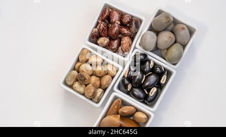 Gray Nicker (Caesalpinia bonduc), Strychnos potatorum, Samtbohne oder Mucuna pruriens, Madhuca longifolia Seeds und Rizinusölsamen ayurvedisches Medicin Stockfoto