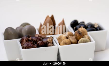 Gray Nicker (Caesalpinia bonduc), Strychnos potatorum, Samtbohne oder Mucuna pruriens, Madhuca longifolia Seeds und Rizinusölsamen ayurvedisches Medicin Stockfoto