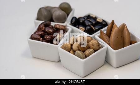 Gray Nicker (Caesalpinia bonduc), Strychnos potatorum, Samtbohne oder Mucuna pruriens, Madhuca longifolia Seeds und Rizinusölsamen ayurvedisches Medicin Stockfoto