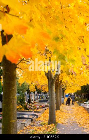 Bäume in hellen Herbstfarben auf dem Friedhof. Gräber und goldene Ahornblätter am All Souls Day Stockfoto