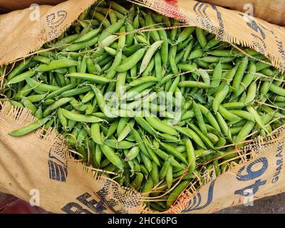 pea in einer Masse zum Verkauf auf dem Markt die Erbse ist am häufigsten der kleine kugelförmige Samen oder die Samenschote der Hülse Pisum sativum. Stockfoto